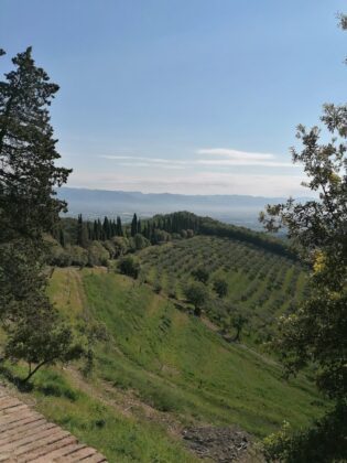 Via degli dei