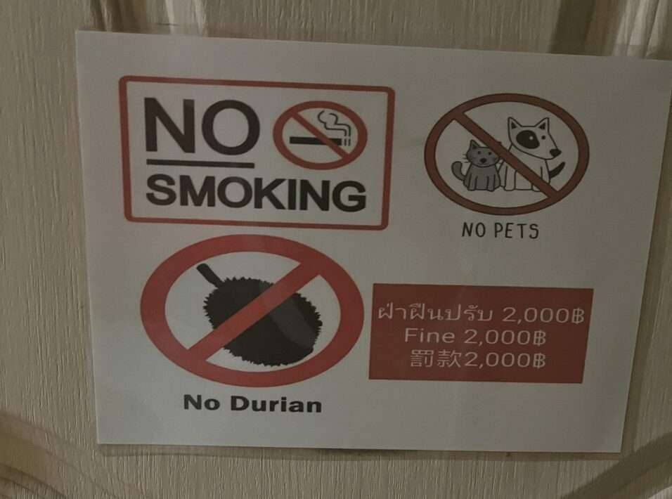 Durian, perché è vietato ?